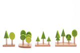Bajo Central Park Forest