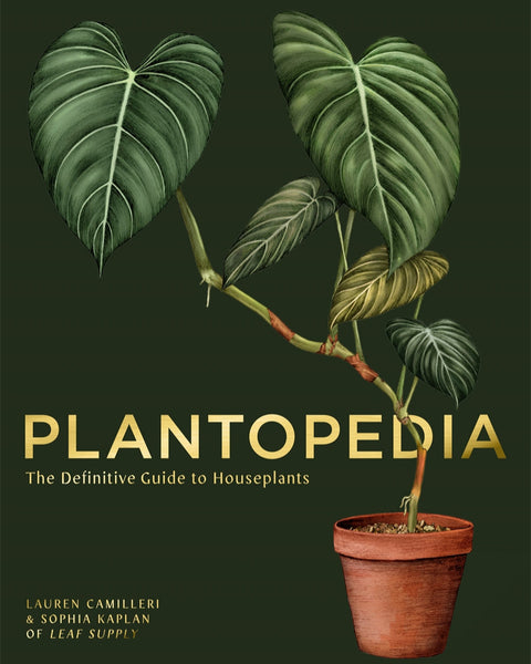 Plantopedia. The Definitive Guide of House Plants
