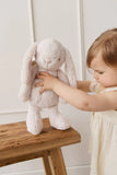 Snuggle Bunnies Fairy Wings Penelope Pastel