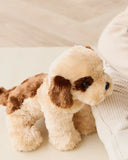 Snuggle Bunnies Coco The Shih Tzu