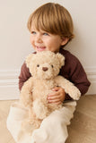 Snuggle Bunnies Arthur The Bear