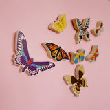 Bajo World of Butterflies