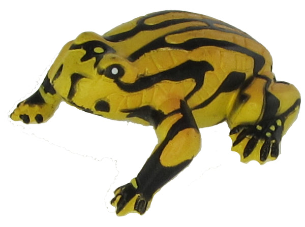 Science and Nature Corroboree Frog