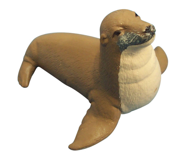 Science and Nature Sea Lion / Seal