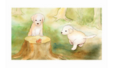 Enchantmints Puppy Love Music / Jewellery Box