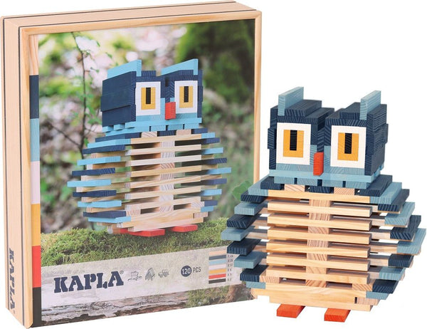 Kapla Owl Case