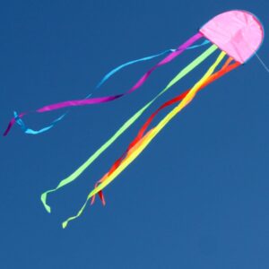 Windspeed Kites - Jellyfish Kite