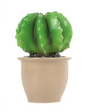 Heico Cactus Night Light Lamp - LED