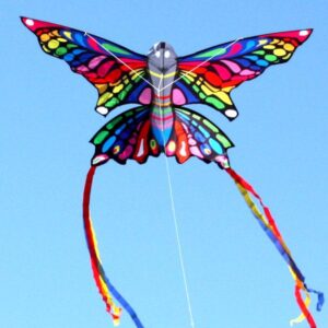 Windspeed Kites - Butterfly Kite