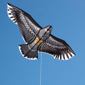 Windspeed Kites - Eagle