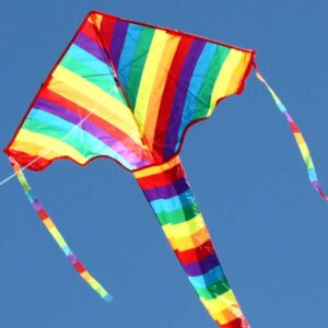 Windspeed Kites - Rainbow Delta Kite