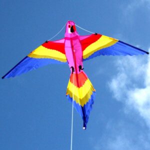 Windspeed Kites - Lorikeet Kite