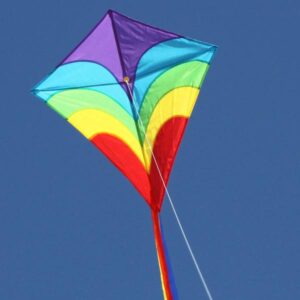 Windspeed Kites - Waves Diamond Kite