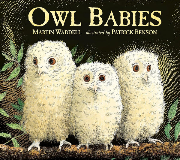 Owl Babies Board Book