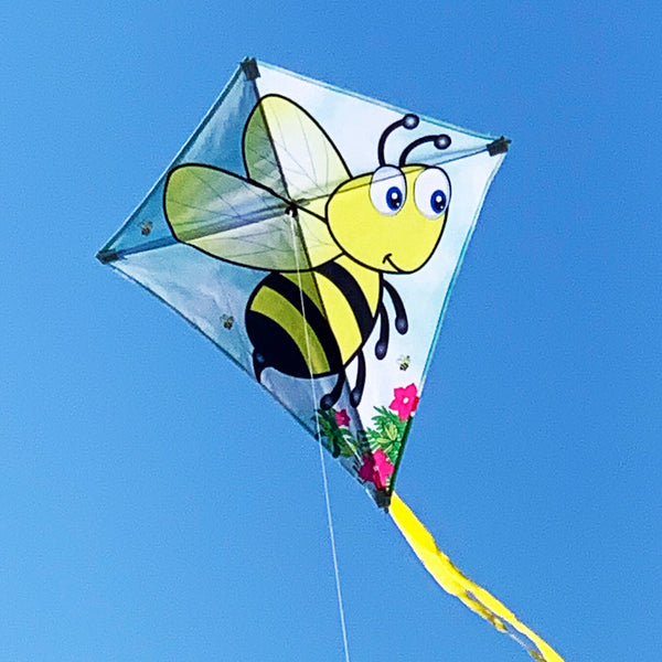 Windspeed Kites - Bumble Bee Kite