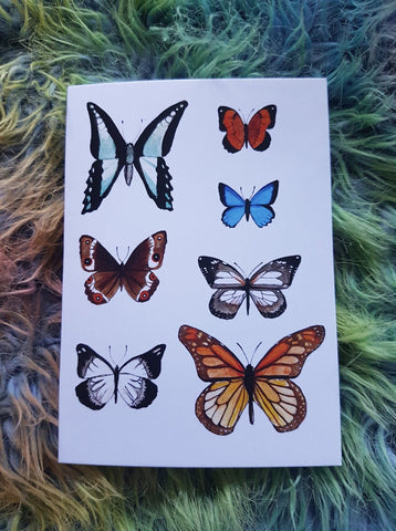 Moonface Maddy Australian Butterflies Card