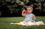 Ladybug Scrunchie Toy