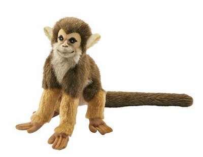 Hansa Squirrel Monkey