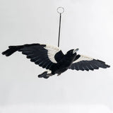 Hansa Magpie Flying 65cm