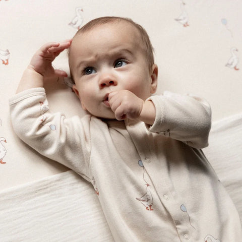 Nature Baby Stretch And Grow Goose Lullaby Print