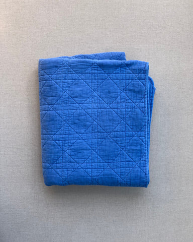 Pretty Wild Kids Blue Perennial Throw