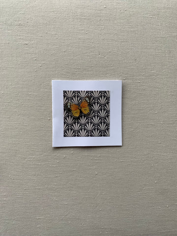 Rosie Craft - Butterflower