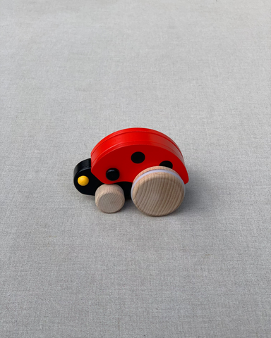 Bajo Ladybird Bug