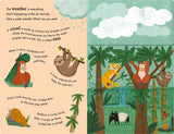 Rain and Shine - A Flap Book of Weather