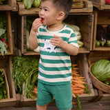 Nature Baby - Jimmy Shorts - Peppermint