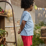 Nature Baby - River Tee - Blue Stripe Trio