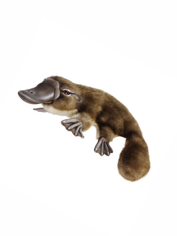 Hansa Platypus 40cm