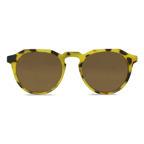 Milk x Soda Elliott Sunglasses Tortoise