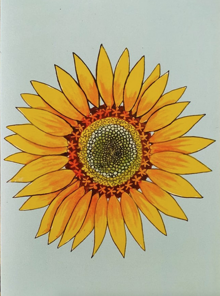 Moonface Maddy Sunflower Card