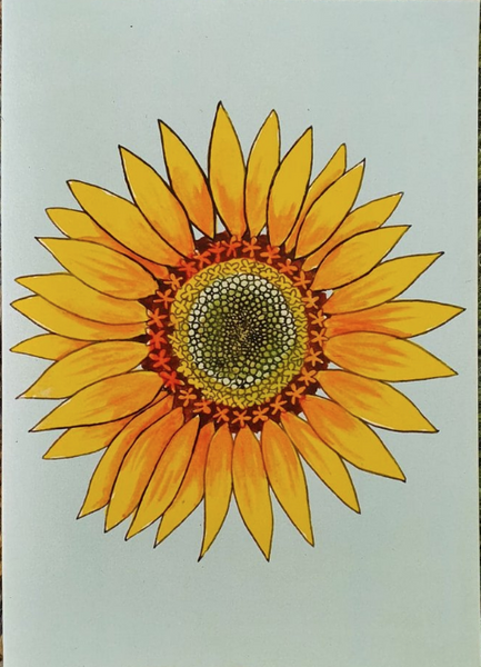 Moon Face Maddy Sunflower