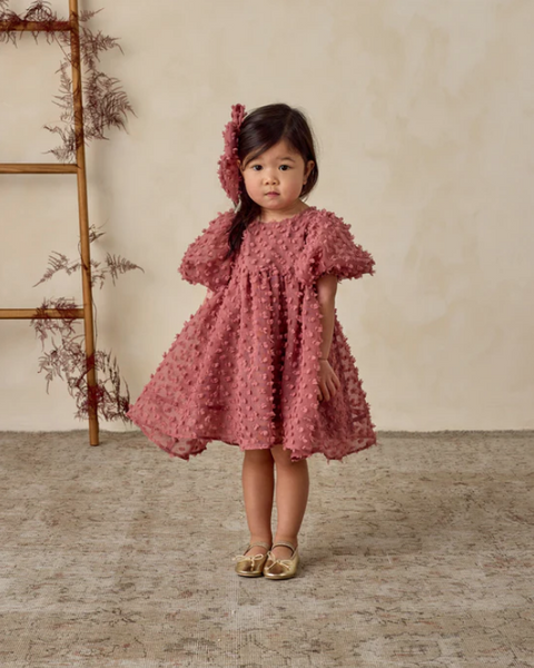 Noralee Luna Dress - Raspberry
