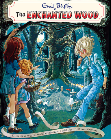 Enchanted Wood Vintage by Enid Blyton