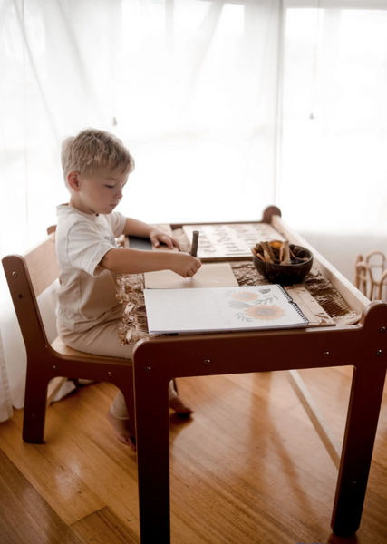 Q Toys Child Study Desk Set