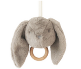 Darcey Bunny Musical- Grey