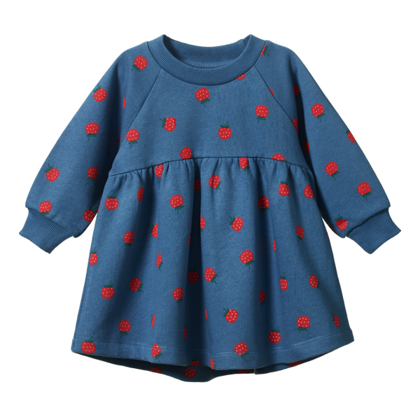 Nature Baby Ines Dress Blue Raspberry Print