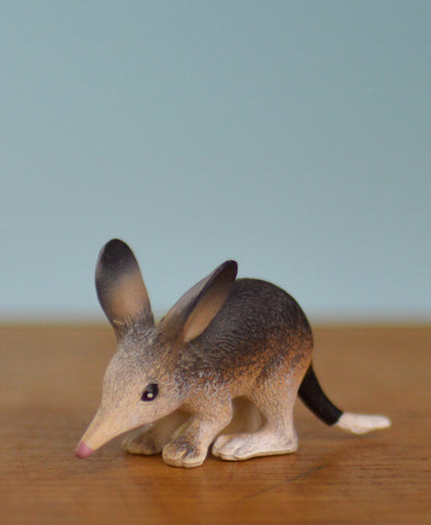 Science and Nature Bilby