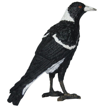 Science and Nature Magpie