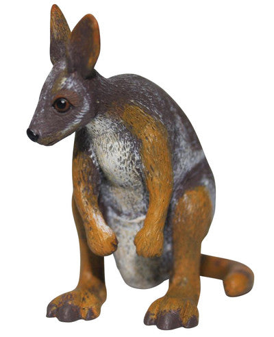 Science and Nature Rock Wallaby