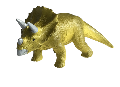 Science and Nature Triceratops