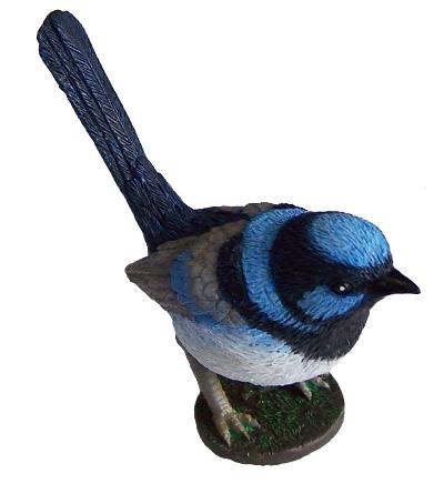 Science and Nature Blue Wren