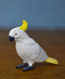 Science and Nature Cockatoo