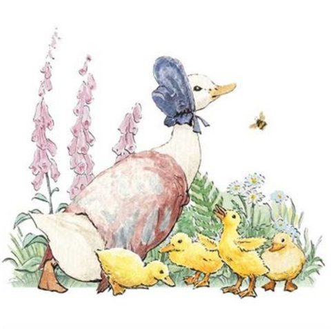 Hype Beatrix Potter Mother Duck Baby Card