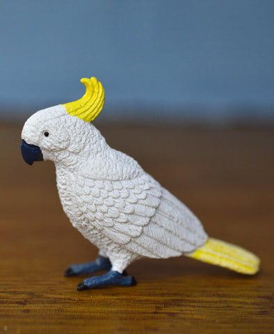 Science and Nature Cockatoo