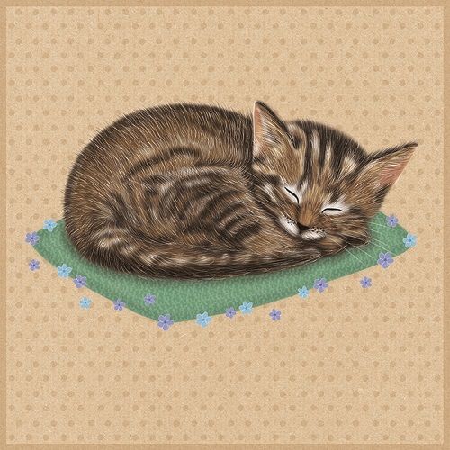 Sleeping Cat Gift Card