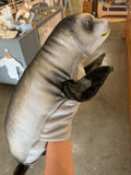 Hansa Seal Hand Puppet 40cm