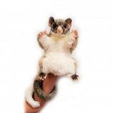 Hansa Brush Tailed Possum Hand Puppet 45cm